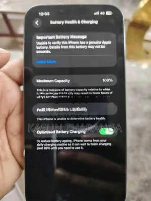 Apple iPhone 13 Pro Max 256GB (Used)