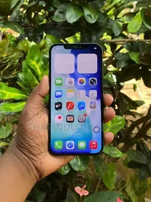 Apple iPhone 12 Pro Max (Used)