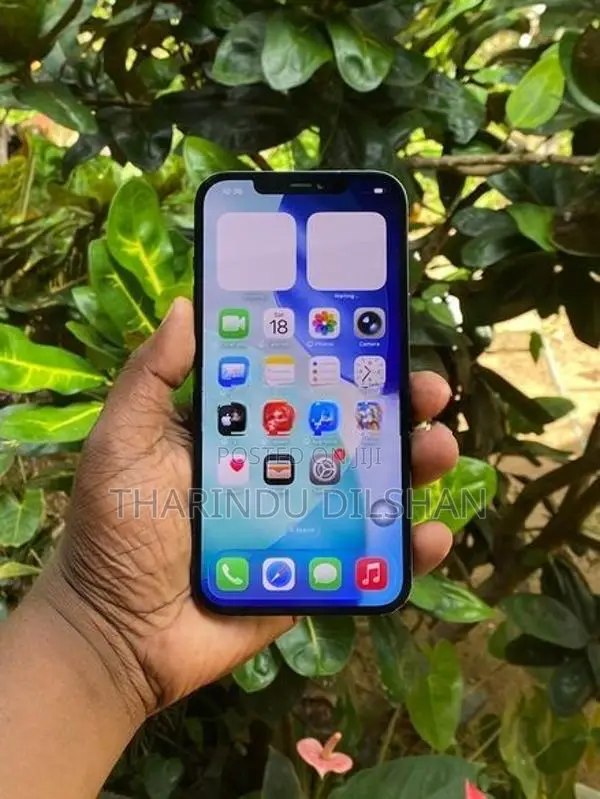 Apple iPhone 12 Pro Max (Used)