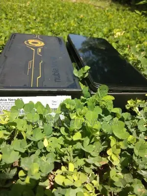 ZTE nubia Neo 5g (Used)