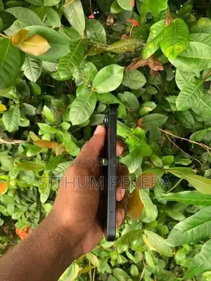 Apple iPhone 14 (Used)