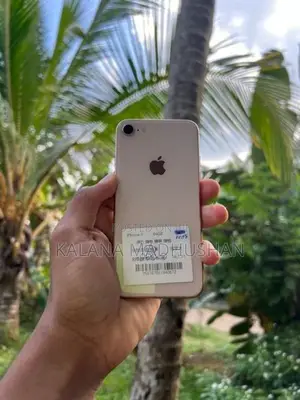 Apple iPhone 8 (Used)