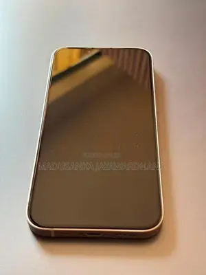 Apple iPhone 13 (Used)
