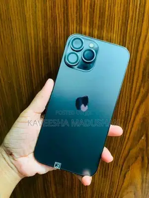 Apple iPhone 13 Pro Max (Used)