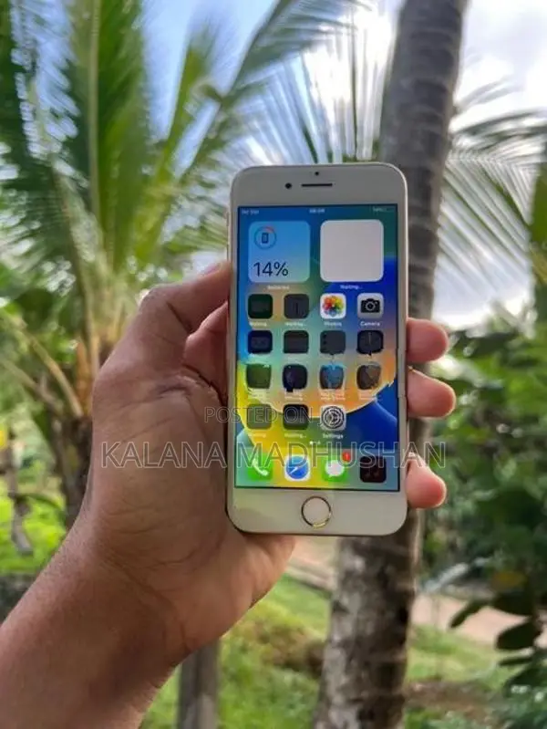 Apple iPhone 8 (Used)