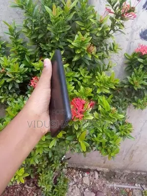 Xiaomi Redmi 8A (Used)
