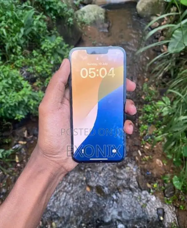 Apple iPhone 13 Pro (Used)