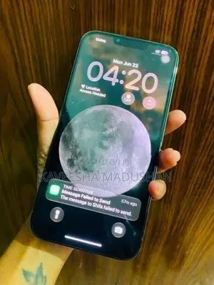 Apple iPhone 13 Pro Max (Used)