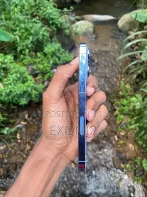 Apple iPhone 13 Pro (Used)