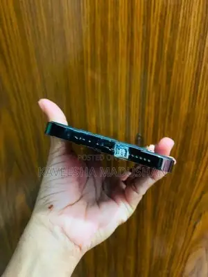 Apple iPhone 13 Pro Max (Used)