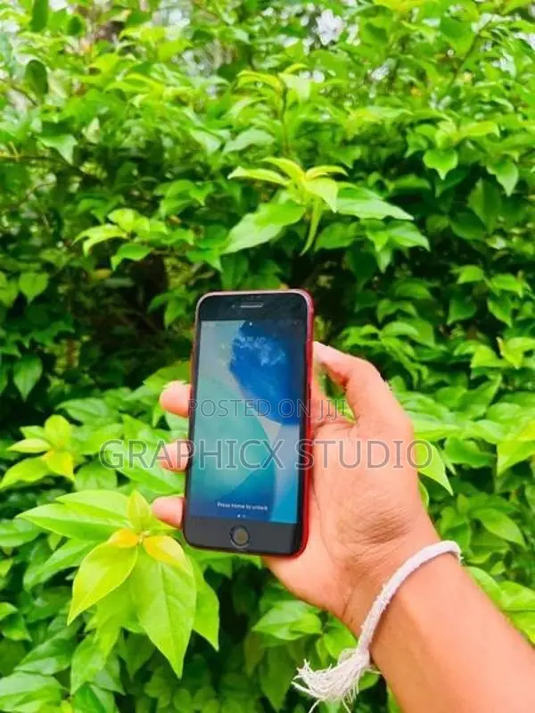 Apple iPhone SE (Used)