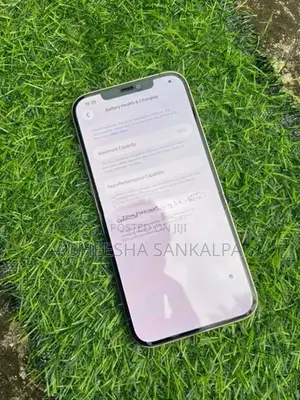 Apple iPhone 12 Pro Max 128GB (Used)