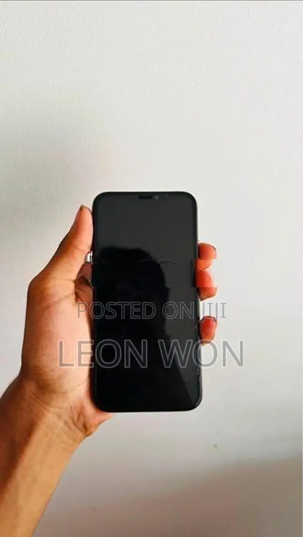 Apple iPhone X (Used)