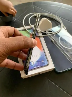 Apple iPhone X 256GB (Used)