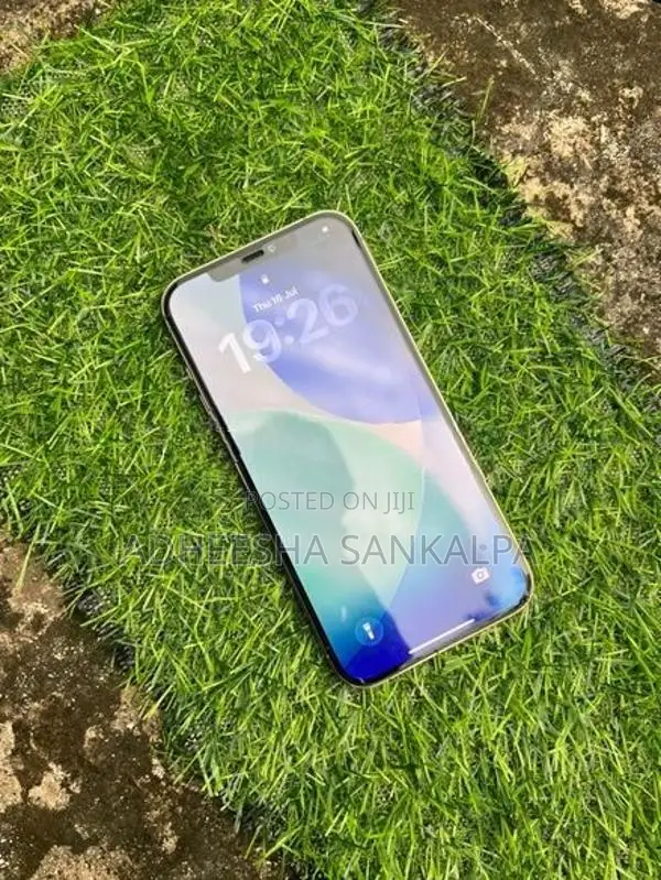 Apple iPhone 12 Pro Max 128GB (Used)