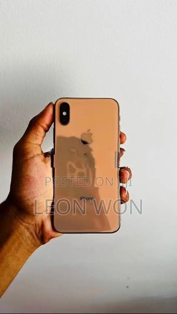 Apple iPhone X (Used)