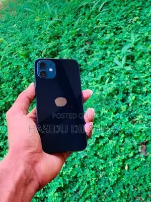 Apple iPhone 12 (Used)