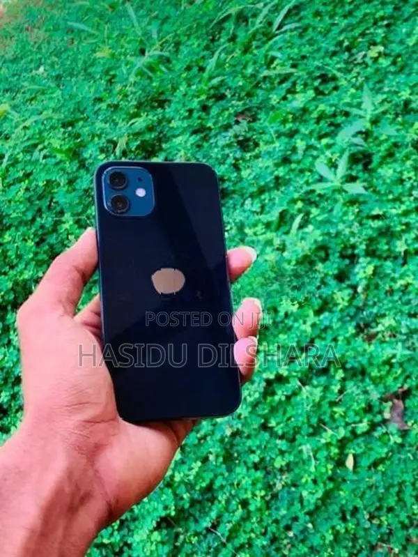 Apple iPhone 12 (Used)