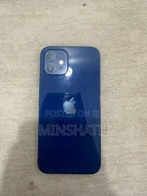 Apple iPhone 12 256GB (Used)