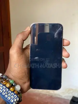 Apple iPhone 12 Pro (Used)