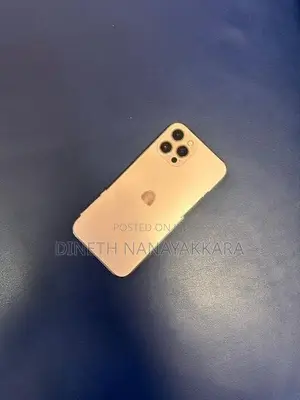 Apple iPhone 12 Pro Max (Used)