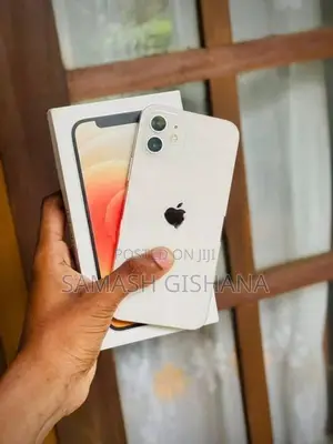 Apple iPhone 12 (Used)
