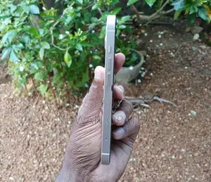 Apple iPhone 14 (Used)