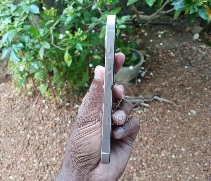 Apple iPhone 14 (Used)