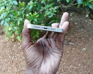 Apple iPhone 14 (Used)