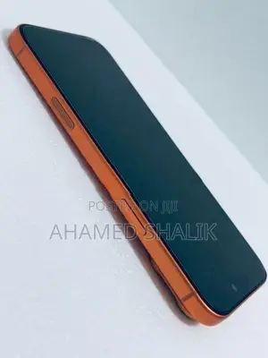 Apple iPhone 17 Pro Max 256GB (Used)