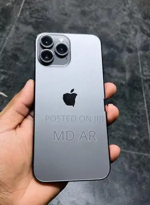 Apple iPhone 13 Pro Max (Used)