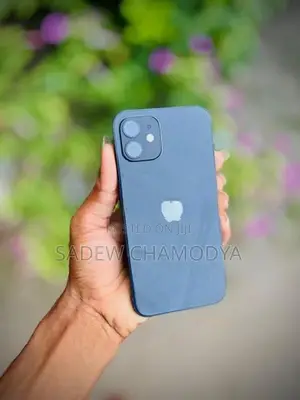 Apple iPhone 12 (Used)