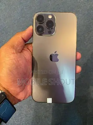 Apple iPhone 13 Pro Max (Used)