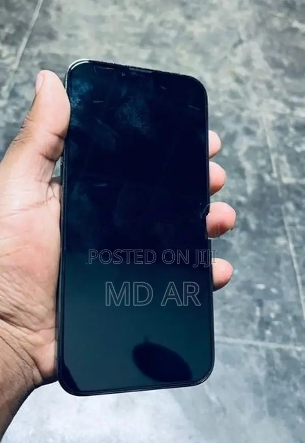 Apple iPhone 13 Pro Max (Used)