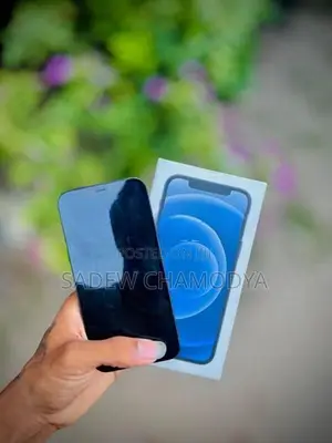 Apple iPhone 12 (Used)