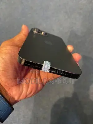 Apple iPhone 13 Pro Max (Used)