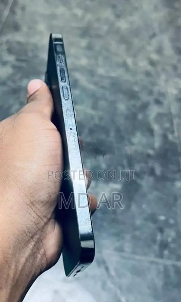 Apple iPhone 13 Pro Max (Used)