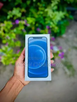 Apple iPhone 12 (Used)