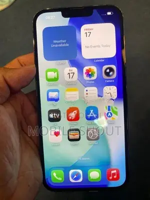 Apple iPhone 13 Pro Max (Used)