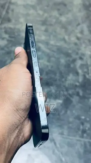 Apple iPhone 13 Pro Max (Used)