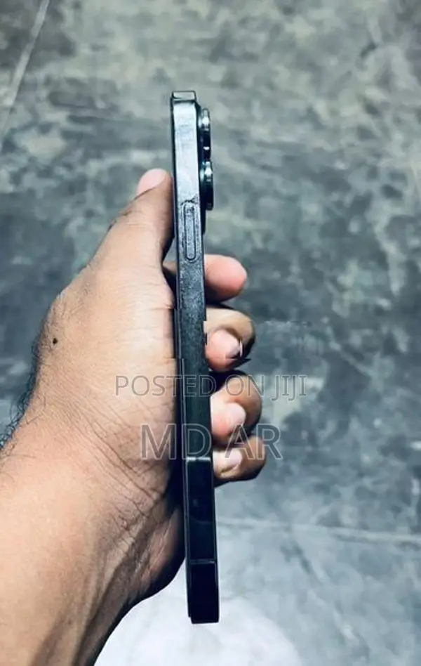 Apple iPhone 13 Pro Max (Used)