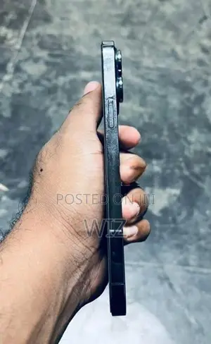 Apple iPhone 13 Pro Max (Used)