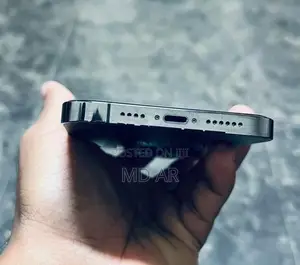 Apple iPhone 13 Pro Max (Used)