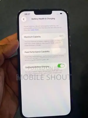 Apple iPhone 13 Pro Max (Used)