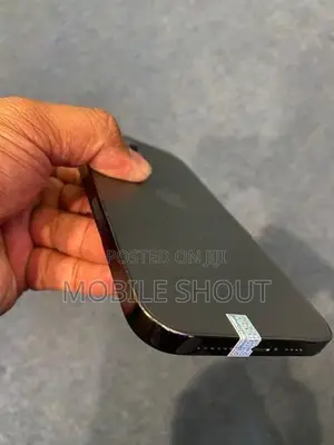 Apple iPhone 13 Pro Max (Used)