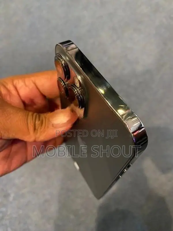 Apple iPhone 13 Pro Max (Used)