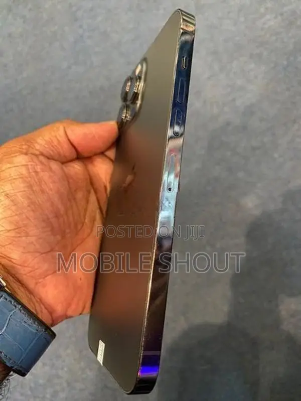Apple iPhone 13 Pro Max (Used)