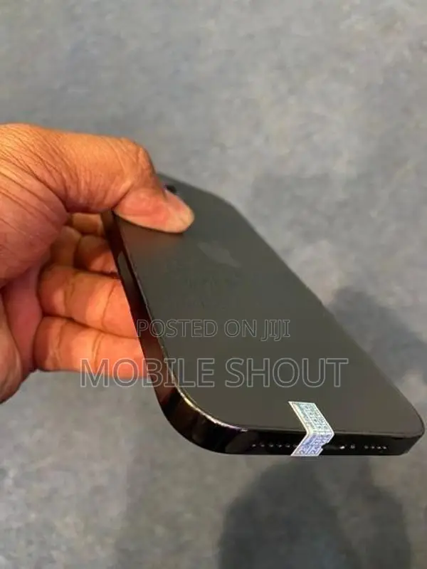 Apple iPhone 13 Pro Max (Used)