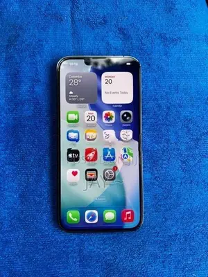 Apple iPhone 13 Pro Max 256GB (Used)