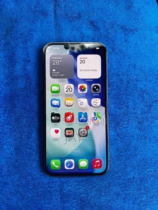 Apple iPhone 13 Pro Max 256GB (Used)